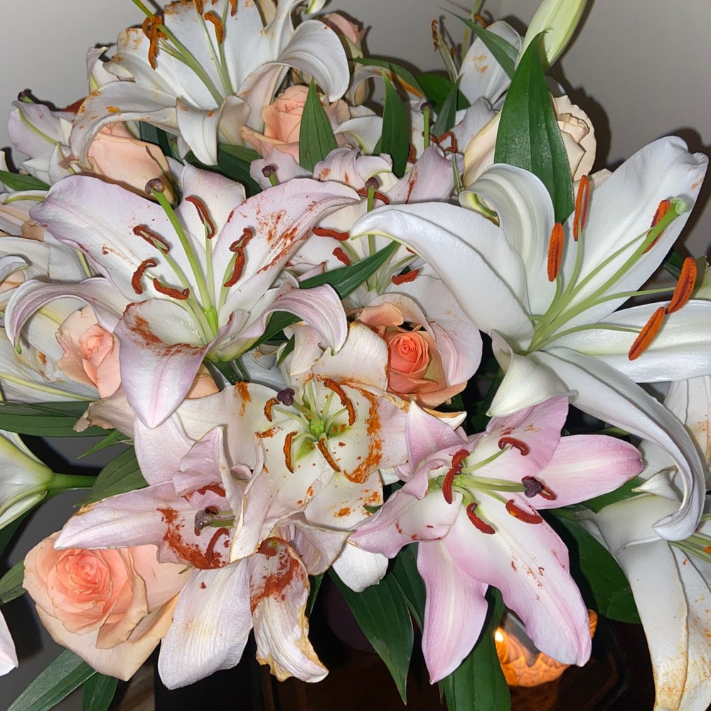 Meet your Posher, Analya